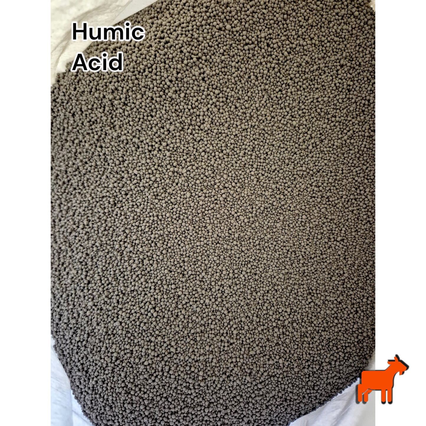 Humic Acid 70% Granule being applied to Australian lawn – granular soil amendment for nutrient uptake and root growth