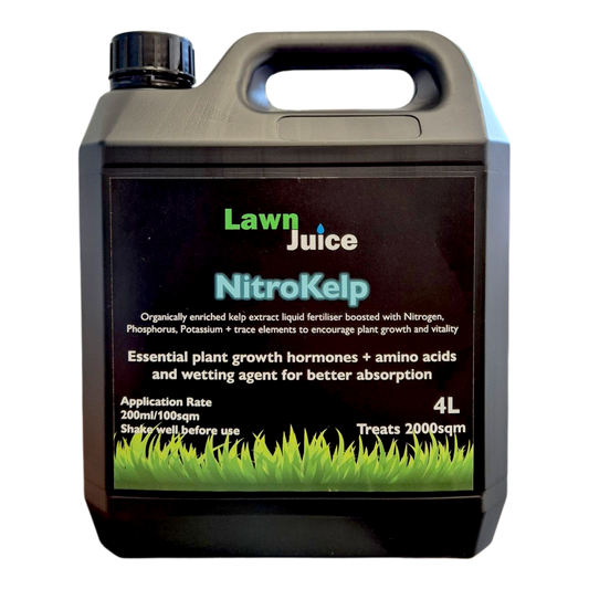 Lawn Juice NitroKelp 4L organic liquid kelp fertiliser bottle for larger lawn coverage