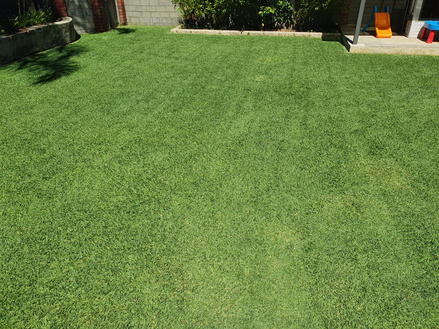 Lawn Juice RoyalGreen granular fertiliser and Bow and Arrow herbicide laid out together for weed and feed lawn care
