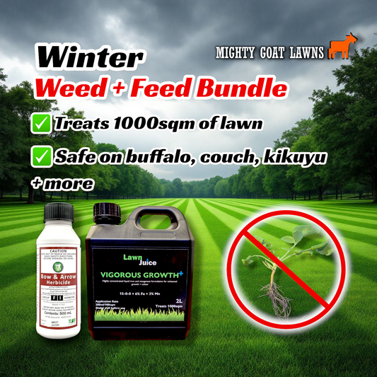 Should you use weed and feed on your lawn?