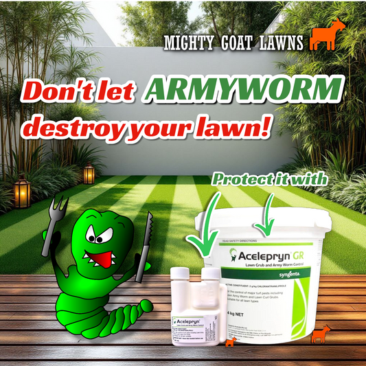 What does Acelepryn do and how does it work?