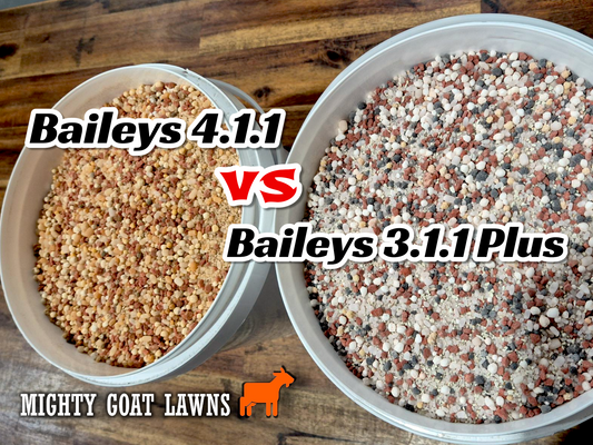 Baileys 3.1.1 Plus vs Baileys 4.1.1 - Which one is better?