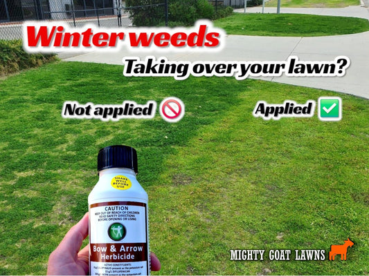 How do you treat the broadleaf weeds in your lawn?