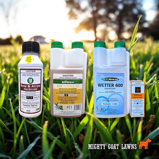 Top 3 Weed Killers for Lawns in Australia | Bow and Arrow, Dicamba M and Odessa Herbicide