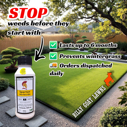 How does a pre-emergent herbicide such as Spartan work?