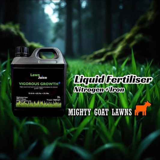 How do I boost the colour of my lawn when it cools down in Autumn and Winter?
