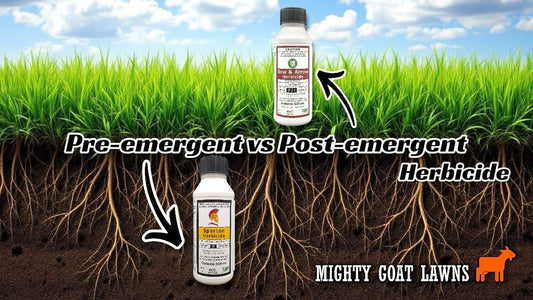 Ultimate Guide To Pre-emergent vs Post-emergent Herbicides For Lawns 🍀🌱