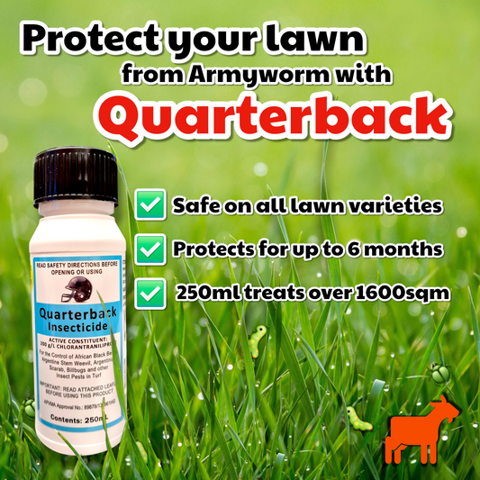 Quarterback Insecticide 250ml