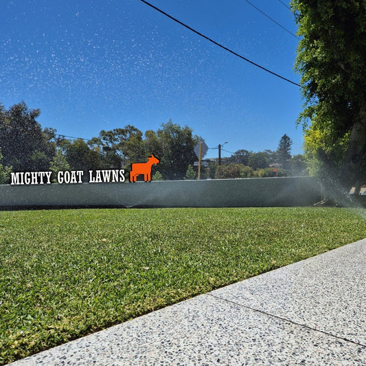 Lawn and Sprinklers