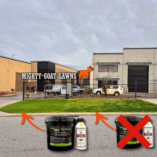 Lawn Juice Weed and Feed