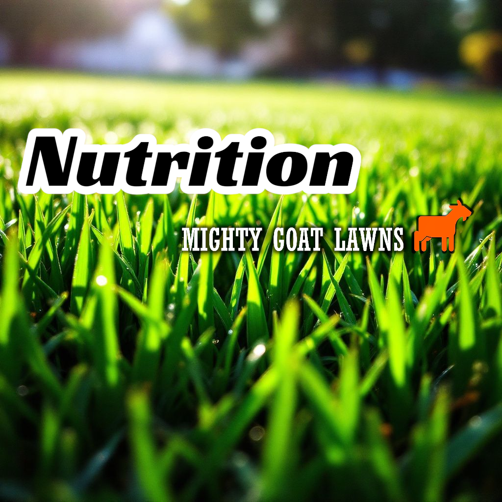 Lawn nutrition products including fertilisers, liquid lawn care and soil conditioners for healthy Australian lawns and turf