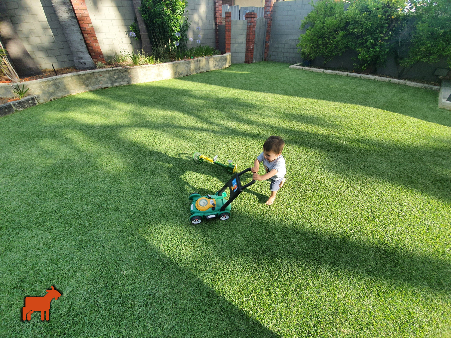 Best Sellers | Weed Killers, Fertilisers & Lawn Care Essentials