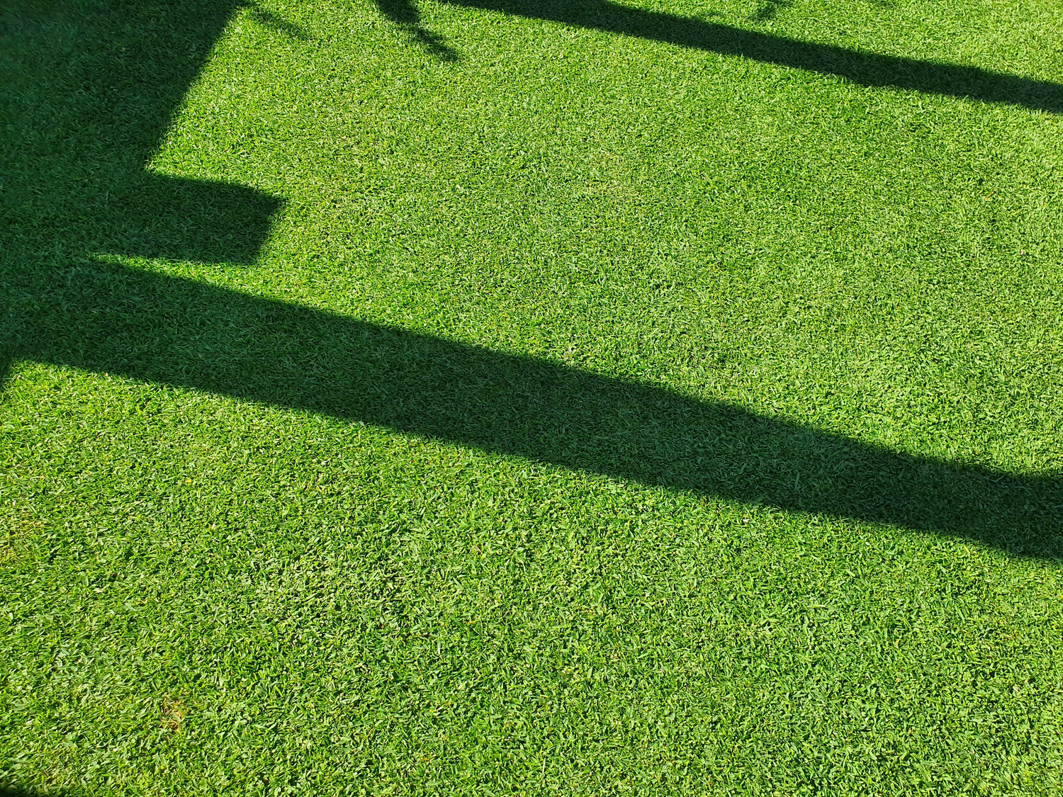Winter lawn care products including fertilisers, weed control and wetting agents for maintaining Australian lawns during cold weather