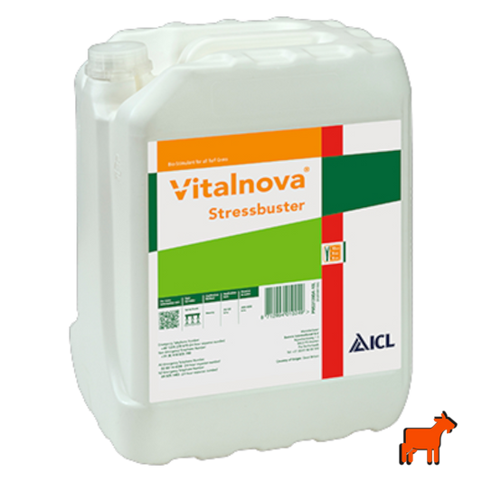 ICL Vitalnova Stressbuster