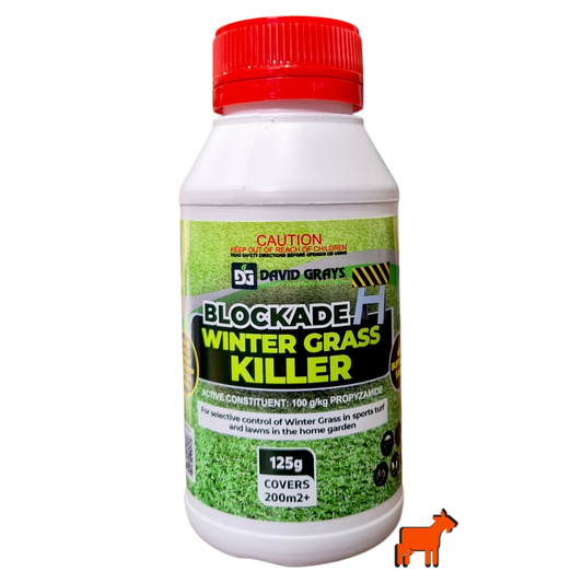 Winter Grass Killer 125g