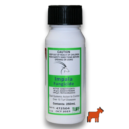 Impala Fungicide 500ml by Turf Culture – dual-action Azoxystrobin and Tebuconazole lawn fungicide for brown patch, dollar spot and grey leaf spot