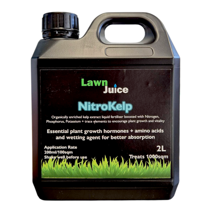 Lawn Juice NitroKelp 2L organic liquid kelp fertiliser bottle – front product shot