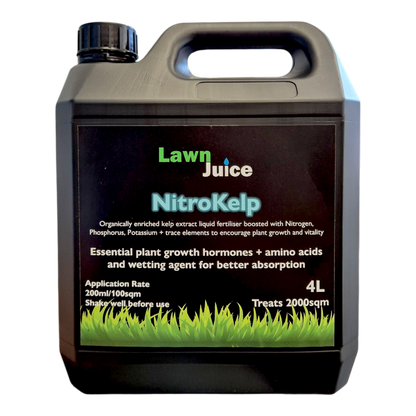 Lawn Juice NitroKelp 4L organic liquid kelp fertiliser bottle for larger lawn coverage
