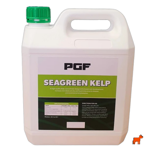 PGF SeaGreen Kelp 4L liquid seaweed and kelp concentrate for root development, microbial activity and disease tolerance