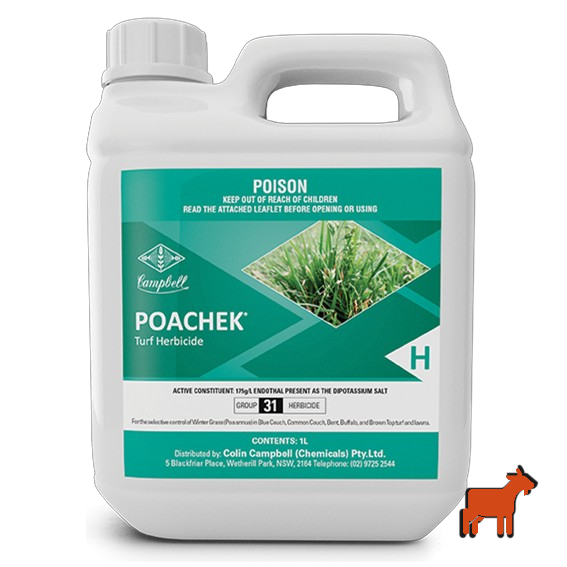 Poachek 1L wintergrass herbicide by Colin Campbell – post-emergent control safe on Buffalo and Couch lawns