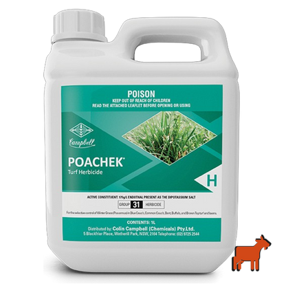 Poachek 1L wintergrass herbicide by Colin Campbell – post-emergent control safe on Buffalo and Couch lawns
