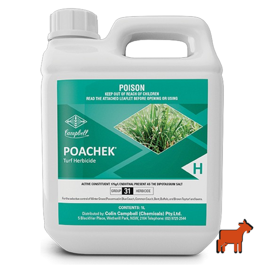 Poachek 1L wintergrass herbicide by Colin Campbell – post-emergent control safe on Buffalo and Couch lawns