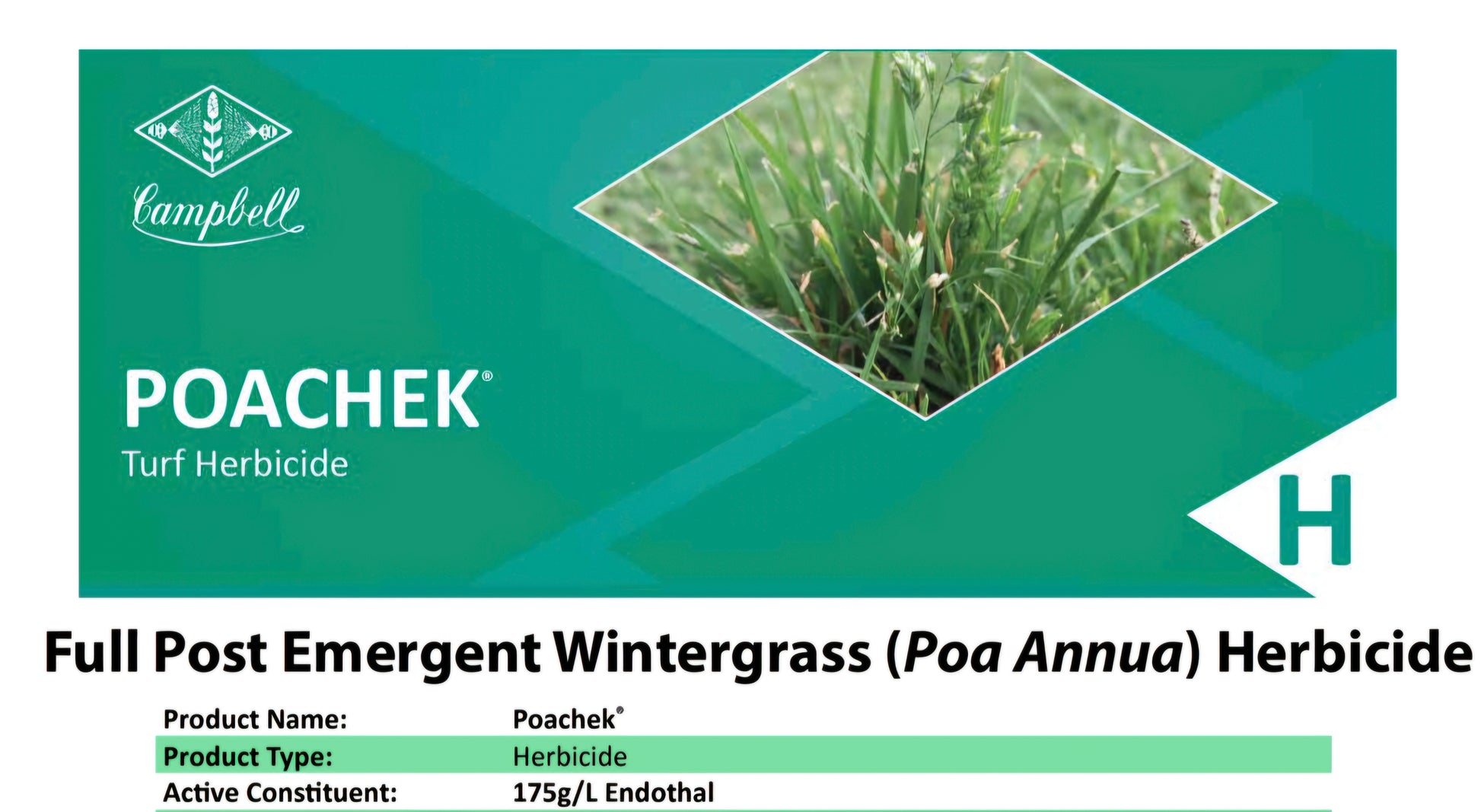 Poachek wintergrass herbicide being applied to Australian lawn to treat established wintergrass