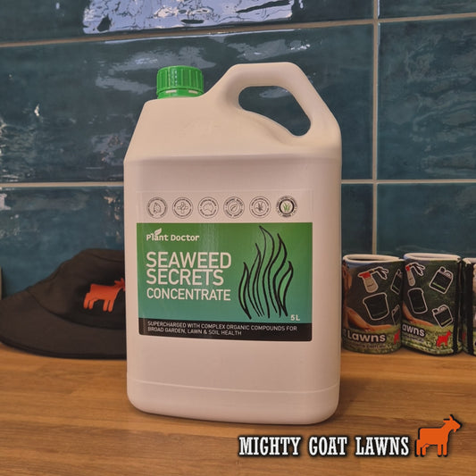 Seaweed Secrets Liquid Kelp