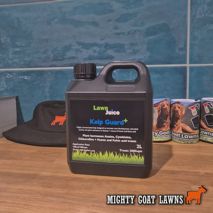 Lawn Juice Kelp Guard+