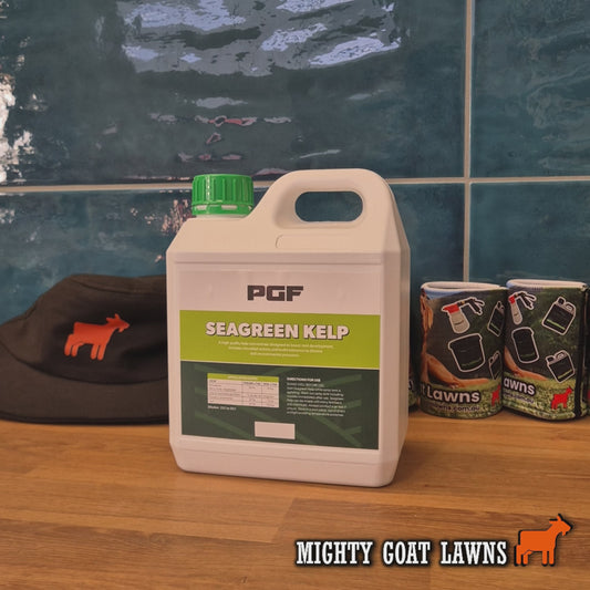 PGF SeaGreen Kelp