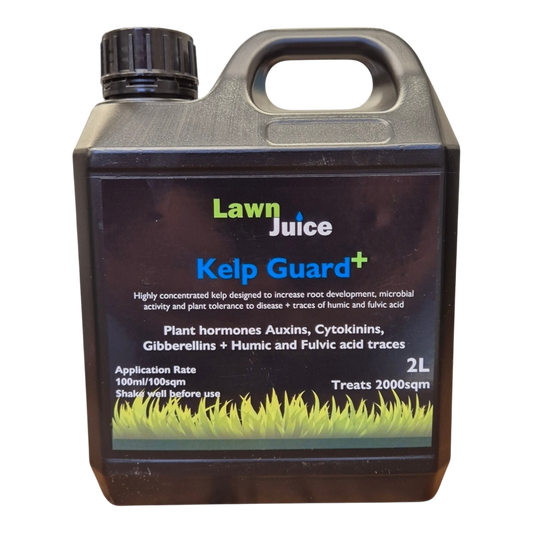 Weed and feed lawn care bundle featuring Bow and Arrow herbicide and fertiliser